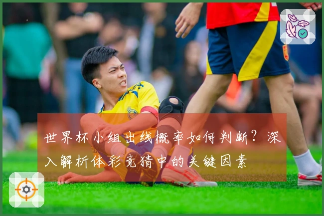 世界杯小组出线概率如何判断？深入解析体彩竞猜中的关键因素