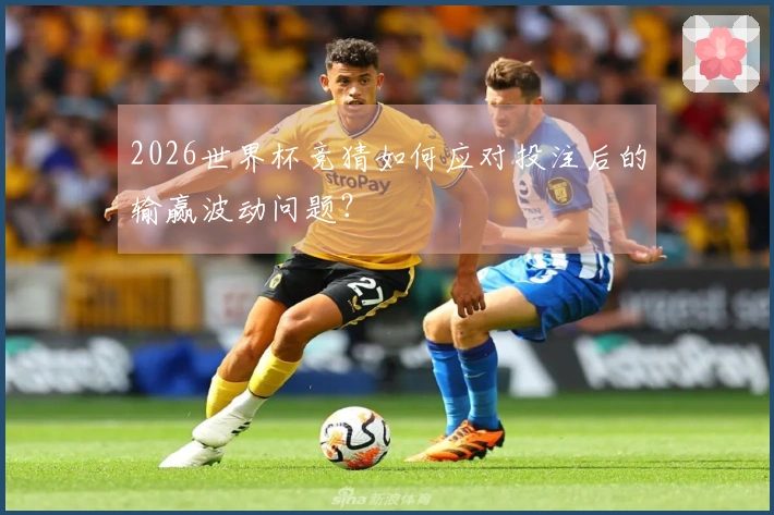 2026世界杯竞猜如何应对投注后的输赢波动问题？