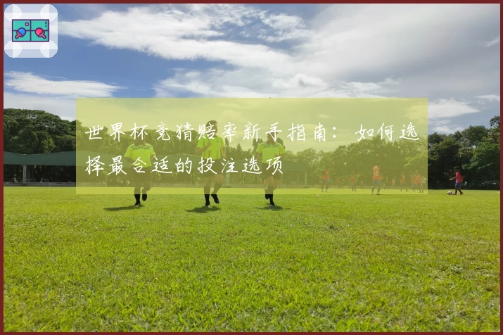 世界杯竞猜赔率新手指南：如何选择最合适的投注选项